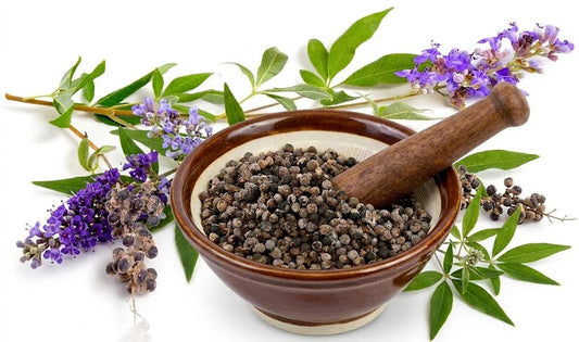 Chasteberry for PMS and PMDD: does it really work?
