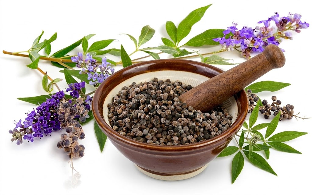 Chasteberry for PMS and PMDD: does it really work?