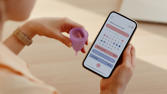 What happens in each phase of the menstrual cycle?