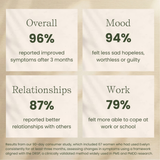 The Full Routine - Shake