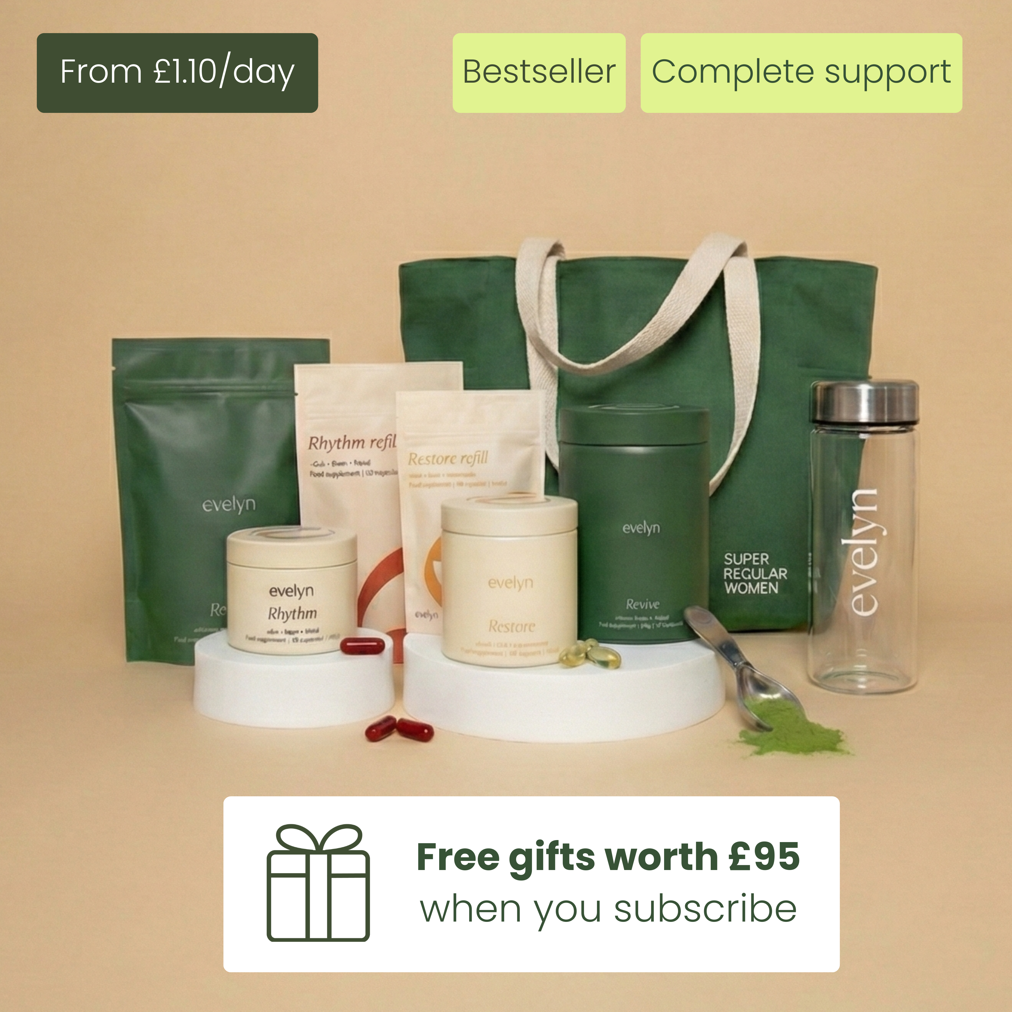 Evelyn Routine (Shake)