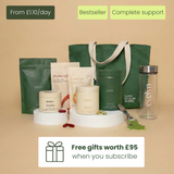 Evelyn Routine (Shake)